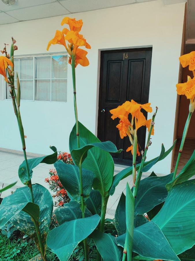 Hotel Santa Elena Antiguo Cuscatlan Ngoại thất bức ảnh
